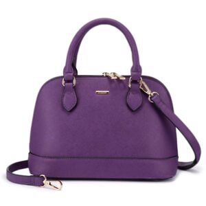 1698 Small Crossbody Bags Classic Double Zip Top Handle Dome Satchel Bag